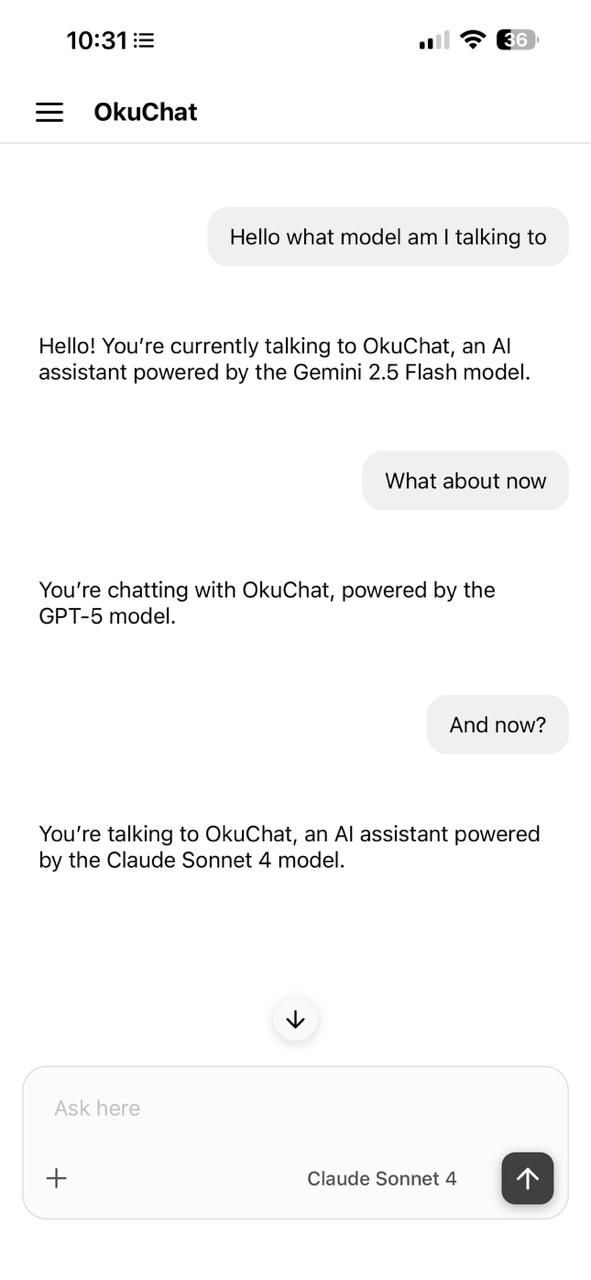 Oku Chat app screenshot